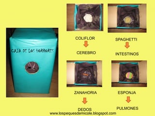 COLIFLOR           SPAGHETTI


CAJA DE LOS HORRORES           CEREBRO           INTESTINOS




                             ZANAHORIA             ESPONJA



                                DEDOS                PULMONES
                  www.lospequesdemicole.blogspot.com
 