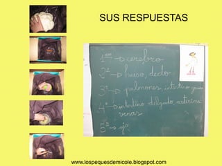 SUS RESPUESTAS




www.lospequesdemicole.blogspot.com
 