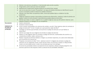  Mostrar a los alumnos una planta e ir mencionando cada una de sus partes.
 Preguntarles ¿cómo creen que nacen las plantas?
 Realizaremos el experimento de germinado de una semilla (frijol, lenteja)
 Leer con los alumnos el cuento “las plantitas” con apoyo de tarjetas ilustrativas se identificará lo que le
ocurre a una planta cuando no tienen los cuidados necesarios.
 Solicitar a los niños llevar una plantita al salón, misma que quedara bajo su cuidado en los días
posteriores.
 Organizar al grupo en pareja e intercambiar las plantas para observarlas, cuestionar ¿todas las plantas son
iguales? ¿tienen el mismo tamaño? ¿Qué diferencias puedes observar entre ellas?
 Solicitar que visiten un vivero y registren en su cuaderno algunas cosas que ahí pudieron observar, para
después compartir sus hallazgos con sus compañeros.
Dos sesiones
ANIMALES EN
PELIGRO DE
EXTINCIÓN
 Saludo y bienvenida
 Anotamos la fecha del día.
 Iniciar la sesión mostrándoles a los alumnos dos carteles, una dirá “¿Qué sabemos sobre los animales en
peligro de extinción?” el otro “¿Cuáles son y qué queremos saber de ellos?”
 Investigar en internet ¿qué animales se encuentran en peligro de extinción y en que hábitat se
desarrollan?
 Solicitar que traigan de casa imágenes de animales en peligro de extinción
 Elaborar un libro gigante sobre los animales en peligro de extinción, clasificándolos de acuerdo a sus
características (vuelan, nadan, caminan, etc.)
 Realizar maquetas de distintos hábitats e integrar sus animales respectivos, los cuales serán elaborados
por los alumnos con masa de sal.
 Proyectar a los alumnos el video “S.O.S. salvemos la tierra” e imágenes de animales en peligro de
extinción con sus respectivas causas. A partir de eso invitar a los alumnos a realizar un dibujo donde
inviten a la comunidad escolar a cuidar a los animales para que no se extingan.
 Al concluir las actividades realizar una exposición de las maquetas y dibujos, después preguntar a los
alumnos ¿qué fue lo más les gusto o llamo su atención de las actividades realizadas?
 
