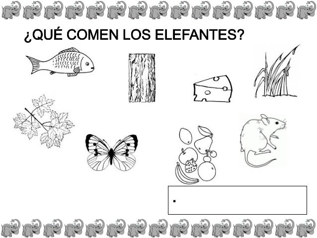 Proyecto elefante