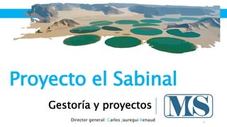 Director general: Carlos Jauregui Renaud 1
Proyecto el Sabinal
Gestoría y proyectos
 