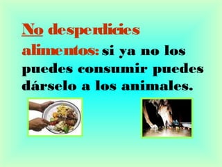 No desperdicies
alimentos: si ya no los
puedes consumir puedes
dárselo a los animales.
 