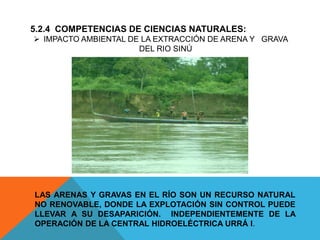 5.2.4 COMPETENCIAS DE CIENCIAS NATURALES:
 IMPACTO AMBIENTAL DE LA EXTRACCIÓN DE ARENA Y GRAVA
DEL RIO SINÚ
LAS ARENAS Y GRAVAS EN EL RÍO SON UN RECURSO NATURAL
NO RENOVABLE, DONDE LA EXPLOTACIÓN SIN CONTROL PUEDE
LLEVAR A SU DESAPARICIÓN. INDEPENDIENTEMENTE DE LA
OPERACIÓN DE LA CENTRAL HIDROELÉCTRICA URRÁ I.
 