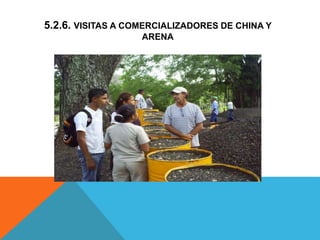 5.2.6. VISITAS A COMERCIALIZADORES DE CHINA Y
ARENA
 