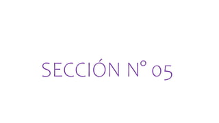SECCIÓN N° 05
 