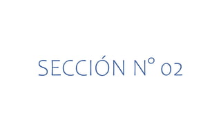 SECCIÓN N° 02
 