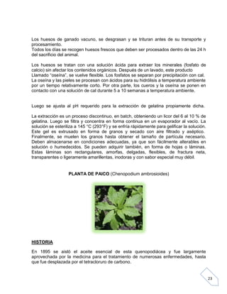 Los huesos de ganado vacuno, se desgrasan y se trituran antes de su transporte y
procesamiento.
Todos los días se recogen huesos frescos que deben ser procesados dentro de las 24 h
del sacrificio del animal.
Los huesos se tratan con una solución ácida para extraer los minerales (fosfato de
calcio) sin afectar los contenidos orgánicos. Después de un lavado, este producto
Llamado “oseína”, se vuelve flexible. Los fosfatos se separan por precipitación con cal.
La oseína y las pieles se procesan con ácidos para su hidrólisis a temperatura ambiente
por un tiempo relativamente corto. Por otra parte, los cueros y la oseína se ponen en
contacto con una solución de cal durante 5 a 10 semanas a temperatura ambiente.

Luego se ajusta al pH requerido para la extracción de gelatina propiamente dicha.
La extracción es un proceso discontinuo, en batch, obteniendo un licor del 6 al 10 % de
gelatina. Luego se filtra y concentra en forma continua en un evaporador al vacío. La
solución se esteriliza a 145 °C (293°F) y se enfría rápidamente para gelificar la solución.
Este gel es extrusado en forma de granos y secado con aire filtrado y aséptico.
Finalmente, se muelen los granos hasta obtener el tamaño de partícula necesario.
Deben almacenarse en condiciones adecuadas, ya que son fácilmente alterables en
solución o humedecidos. Se pueden adquirir también, en forma de hojas o láminas.
Estas láminas son rectangulares, amorfas, delgadas, flexibles, de fractura neta,
transparentes o ligeramente amarillentas, inodoras y con sabor especial muy débil.

PLANTA DE PAICO (Chenopodium ambrosioides)

HISTORIA
En 1895 se aisló el aceite esencial de esta quenopodiácea y fue largamente
aprovechada por la medicina para el tratamiento de numerosas enfermedades, hasta
que fue desplazada por el tetracloruro de carbono.

23

 