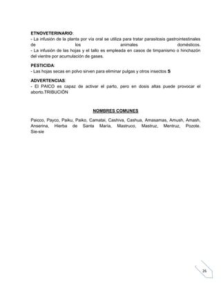 ETNOVETERINARIO:
- La infusión de la planta por vía oral se utiliza para tratar parasitosis gastrointestinales
de
los
animales
domésticos.
- La infusión de las hojas y el tallo es empleada en casos de timpanismo o hinchazón
del vientre por acumulación de gases.
PESTICIDA:
- Las hojas secas en polvo sirven para eliminar pulgas y otros insectos S
ADVERTENCIAS:
- El PAICO es capaz de activar el parto, pero en dosis altas puede provocar el
aborto.TRIBUCIÓN

NOMBRES COMUNES
Paicco, Payco, Paiku, Paiko, Camatai, Cashiva, Cashua, Amasamas, Amush, Amash,
Anserina, Hierba de Santa María, Mastruco, Mastruz, Mentruz, Pozote.
Sie-sie

26

 