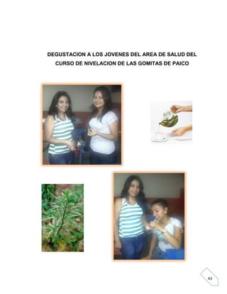 DEGUSTACION A LOS JOVENES DEL AREA DE SALUD DEL
CURSO DE NIVELACION DE LAS GOMITAS DE PAICO

43

 