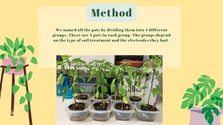 Method
We named all the pots by dividing them into 4 different
groups. There are 4 pots in each group. The groups depend
on the type of soil treatment and the electrodes they had.
 