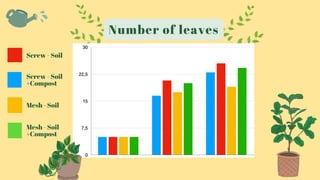 Number of leaves
Screw - Soil
Screw - Soil
+Compost
Mesh - Soil
+Compost
Mesh - Soil
 