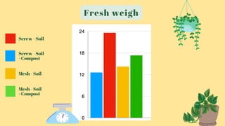 Fresh weigh
Screw - Soil
Screw - Soil
+Compost
Mesh - Soil
+Compost
Mesh - Soil
 