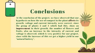 Conclusions
At the conclusion of the project, we have observed that our
hypothesis on how the use of compost in the plant affects its
growth, voltage and current intensity were correct, since
the group of plants 2 and 4 which had this, show an
improvement in their growth, the number of flowers and
fruits, also an increase in the intensity of current and
voltage is observed, which is very positive for our project,
since with the increase of this we get a higher yield in our
"natural battery".
 