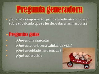  ¿Por qué es importante que los estudiantes conozcan
    sobre el cuidado que se les debe dar a las mascotas?


 Preguntas guías
       ¿Qué es una mascota?
       ¿Qué es tener buena calidad de vida?
       ¿Qué es cuidado inadecuado?
       ¿Qué es descuido
 