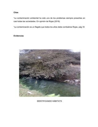 Citas
“La contaminación ambiental ha sido uno de los problemas siempre presentes en
casi todas las sociedades. En opinión de Rojas (2018)
“La contaminación es un flagelo que todos los años debe combatirse Rojas. pág.18
Evidencias
IDENTIFICANDO HÁBITATS
 