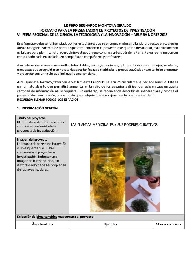 Proyecto Estudiantil