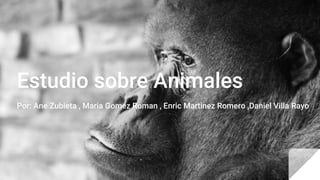 Estudio sobre Animales
Por: Ane Zubieta , Maria Gomez Roman , Enric Martinez Romero ,Daniel Villa Rayo
 