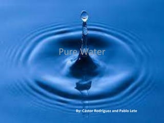 Pure Water
By: Cástor Rodríguez and Pablo Lete
 