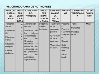 VIII. CRONOGRAMA DE ACTIVIDADES
