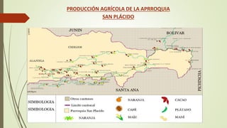 PRODUCCIÓN AGRÍCOLA DE LA APRROQUIA 
SAN PLÁCIDO 
 