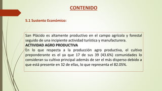 CONTENIDO 
5.1 Sustento Económico: 
San Plácido es altamente productivo en el campo agrícola y forestal 
seguido de una incipiente actividad turística y manufacturera. 
ACTIVIDAD AGRO PRODUCTIVA 
En lo que respecta a la producción agro productiva, el cultivo 
preponderante es el ya que 17 de sus 39 (43.6%) comunidades lo 
consideran su cultivo principal además de ser el más disperso debido a 
que está presente en 32 de ellas, lo que representa el 82.05%. 
 
