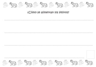 ¿Cómo se alimentan los felinos?

....................................................................................................................


...................................................................................................................


...................................................................................................................


........................................................................................................
 