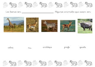 Los leones son _____________________. Algunos animales que cazan son:




 cebra           ñu          antílope          jirafa      gacela
 
