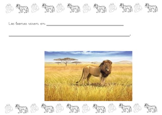 Los leones viven en ______________________________

_______________________________________________.
 