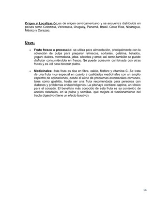 Origen y Localización:es de origen centroamericano y se encuentra distribuida en
países como Colombia, Venezuela, Uruguay, Panamá, Brasil, Costa Rica, Nicaragua,
México y Curazao.

Usos:
Fruto fresco o procesado: se utiliza para alimentación, principalmente con la
obtención de pulpa para preparar refrescos, sorbetes, gelatina, helados,
yogurt, dulces, mermelada, jalea, cócteles y otros; así como también se puede
disfrutar consumiéndola en fresco. Se puede consumir combinada con otras
frutas y es útil para decorar platos.
Medicinales: ésta fruta es rica en fibra, calcio, fósforo y vitamina C. Se trata
de una fruta muy especial en cuanto a cualidades medicinales con un amplio
espectro de aplicaciones, desde el alivio de problemas estomacales comunes,
tales como gastritis, hasta ser una fruta recomendada para personas con
diabetes y problemas endocrinógenos. La pitahaya contiene captina, un tónico
para el corazón. El beneficio más conocido de esta fruta es su contenido de
aceites naturales, en la pulpa y semillas, que mejora el funcionamiento del
tracto digestivo (tiene un efecto laxativo).

14

 