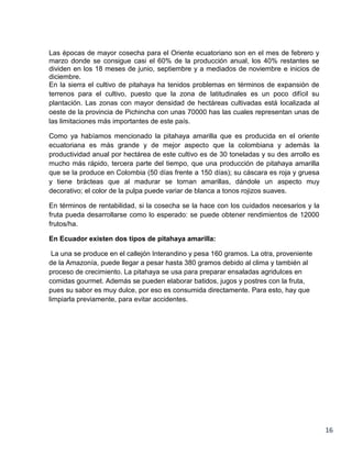Las épocas de mayor cosecha para el Oriente ecuatoriano son en el mes de febrero y
marzo donde se consigue casi el 60% de la producción anual, los 40% restantes se
dividen en los 18 meses de junio, septiembre y a mediados de noviembre e inicios de
diciembre.
En la sierra el cultivo de pitahaya ha tenidos problemas en términos de expansión de
terrenos para el cultivo, puesto que la zona de latitudinales es un poco difícil su
plantación. Las zonas con mayor densidad de hectáreas cultivadas está localizada al
oeste de la provincia de Pichincha con unas 70000 has las cuales representan unas de
las limitaciones más importantes de este país.
Como ya habíamos mencionado la pitahaya amarilla que es producida en el oriente
ecuatoriana es más grande y de mejor aspecto que la colombiana y además la
productividad anual por hectárea de este cultivo es de 30 toneladas y su des arrollo es
mucho más rápido, tercera parte del tiempo, que una producción de pitahaya amarilla
que se la produce en Colombia (50 días frente a 150 días); su cáscara es roja y gruesa
y tiene brácteas que al madurar se tornan amarillas, dándole un aspecto muy
decorativo; el color de la pulpa puede variar de blanca a tonos rojizos suaves.
En términos de rentabilidad, si la cosecha se la hace con los cuidados necesarios y la
fruta pueda desarrollarse como lo esperado: se puede obtener rendimientos de 12000
frutos/ha.
En Ecuador existen dos tipos de pitahaya amarilla:
La una se produce en el callejón Interandino y pesa 160 gramos. La otra, proveniente
de la Amazonía, puede llegar a pesar hasta 380 gramos debido al clima y también al
proceso de crecimiento. La pitahaya se usa para preparar ensaladas agridulces en
comidas gourmet. Además se pueden elaborar batidos, jugos y postres con la fruta,
pues su sabor es muy dulce, por eso es consumida directamente. Para esto, hay que
limpiarla previamente, para evitar accidentes.

16

 