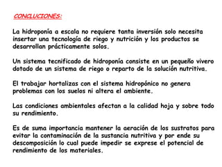 CONCLUCIONES:

La hidroponía a escala no requiere tanta inversión solo necesita
insertar una tecnología de riego y nutrición y los productos se
desarrollan prácticamente solos.
Un sistema tecnificado de hidroponía consiste en un pequeño vivero
dotado de un sistema de riego o reparto de la solución nutritiva.
El trabajar hortalizas con el sistema hidropónico no genera
problemas con los suelos ni altera el ambiente.
Las condiciones ambientales afectan a la calidad hoja y sobre todo
su rendimiento.
Es de suma importancia mantener la aeración de los sustratos para
evitar la contaminación de la sustancia nutritiva y por ende su
descomposición lo cual puede impedir se exprese el potencial de
rendimiento de los materiales.

 