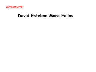 INTEGRANTE:

David Esteban Mora Fallas

 