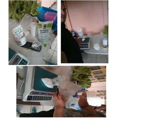 Proyecto feria científica hidroponia