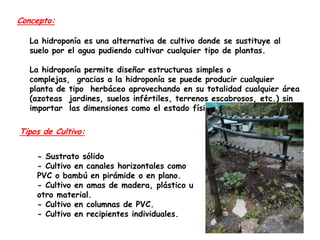 Concepto:
La hidroponía es una alternativa de cultivo donde se sustituye al
suelo por el agua pudiendo cultivar cualquier tipo de plantas.
La hidroponía permite diseñar estructuras simples o
complejas, gracias a la hidroponía se puede producir cualquier
planta de tipo herbáceo aprovechando en su totalidad cualquier área
(azoteas jardines, suelos infértiles, terrenos escabrosos, etc.) sin
importar las dimensiones como el estado físico de estas.

Tipos de Cultivo:
- Sustrato sólido
- Cultivo en canales horizontales como
PVC o bambú en pirámide o en plano.
- Cultivo en amas de madera, plástico u
otro material.
- Cultivo en columnas de PVC.
- Cultivo en recipientes individuales.

 