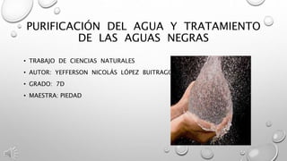 PURIFICACIÓN DEL AGUA Y TRATAMIENTO 
DE LAS AGUAS NEGRAS 
• TRABAJO DE CIENCIAS NATURALES 
• AUTOR: YEFFERSON NICOLÁS LÓPEZ BUITRAGO 
• GRADO: 7D 
• MAESTRA: PIEDAD 
 