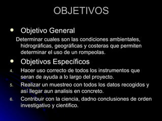OBJETIVOS Objetivo General Determinar cuales son las condiciones ambientales, hidrográficas, geográficas y costeras que permiten determinar el uso de un rompeolas. Objetivos Específicos Hacer uso correcto de todos los instrumentos que seran de ayuda a lo largo del proyecto. Realizar un muestreo con todos los datos recogidos y así llegar aun analisis en concreto. Contribuir con la ciencia, dadno conclusiones de orden investigativo y cientifico. 