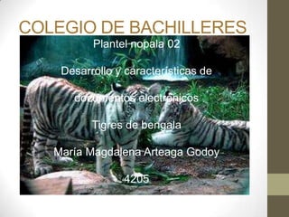 COLEGIO DE BACHILLERES
Plantel nopala 02
Desarrollo y características de
documentos electrónicos
Tigres de bengala
María Magdalena Arteaga Godoy
4205
 
