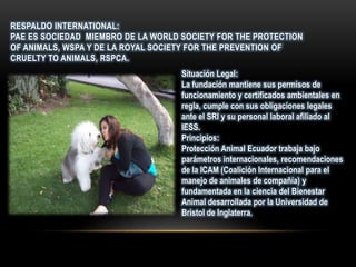 RESPALDO INTERNATIONAL:
PAE ES SOCIEDAD MIEMBRO DE LA WORLD SOCIETY FOR THE PROTECTION
OF ANIMALS, WSPA Y DE LA ROYAL SOCIETY FOR THE PREVENTION OF
CRUELTY TO ANIMALS, RSPCA.
Situación Legal:
La fundación mantiene sus permisos de
funcionamiento y certificados ambientales en
regla, cumple con sus obligaciones legales
ante el SRI y su personal laboral afiliado al
IESS.
Principios:
Protección Animal Ecuador trabaja bajo
parámetros internacionales, recomendaciones
de la ICAM (Coalición Internacional para el
manejo de animales de compañía) y
fundamentada en la ciencia del Bienestar
Animal desarrollada por la Universidad de
Bristol de Inglaterra.
RESPALDO INTERNATIONAL:
PAE ES SOCIEDAD MIEMBRO DE LA WORLD SOCIETY FOR THE PROTECTION
OF ANIMALS, WSPA Y DE LA ROYAL SOCIETY FOR THE PREVENTION OF
CRUELTY TO ANIMALS, RSPCA.
Situación Legal:
La fundación mantiene sus permisos de
funcionamiento y certificados ambientales en
regla, cumple con sus obligaciones legales
ante el SRI y su personal laboral afiliado al
IESS.
Principios:
Protección Animal Ecuador trabaja bajo
parámetros internacionales, recomendaciones
de la ICAM (Coalición Internacional para el
manejo de animales de compañía) y
fundamentada en la ciencia del Bienestar
Animal desarrollada por la Universidad de
Bristol de Inglaterra.
 