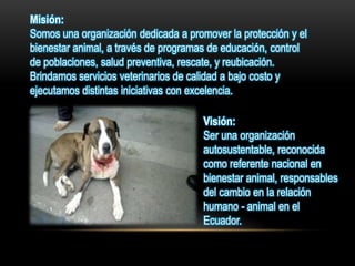 Visión:
Ser una organización
autosustentable, reconocida
como referente nacional en
bienestar animal, responsables
del cambio en la relación
humano - animal en el
Ecuador.
Misión:
Somos una organización dedicada a promover la protección y el
bienestar animal, a través de programas de educación, control
de poblaciones, salud preventiva, rescate, y reubicación.
Brindamos servicios veterinarios de calidad a bajo costo y
ejecutamos distintas iniciativas con excelencia.
 