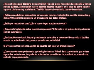 ¿Tienes tiempo para dedicarle a un animalito? Tu perro o gato necesitará tu compañía y tiempo
para su cuidado, alimentación y aseo; además deberás educarlo, en el caso del perro, llevarlo
a pasear diariamente y socializarlo. También llevarlo al veterinario cuando lo requiera.
¿Estás en condiciones económicas para costear vacunas, tratamientos, comida, accesorios, y
demás? Un animalito representa un presupuesto que debes analizar.
¿Estás por mudarte de casa?¿En el nuevo lugar, aceptan mascotas?
¿Conoces la legislación sobre tenencia responsable? Infórmate si no quieres tener problemas
con las autoridades.
¿Tu situación emocional, laboral y sentimental es estable al momento? Debe serlo si decides
aceptar un animal en tu vida, pues el necesita esa estabilidad.
Si vives con otras personas, ¿están de acuerdo con tener un animal en casa?
¿Conoces sobre comportamiento y psicología canina o felina? Sería conveniente que revises
algo sobre estos temas, te ayudará a entender las necesidades de tu animal y a educarlo sin
maltrato y apropiadamente.
 