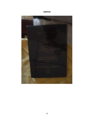15
ANEXOS
 
