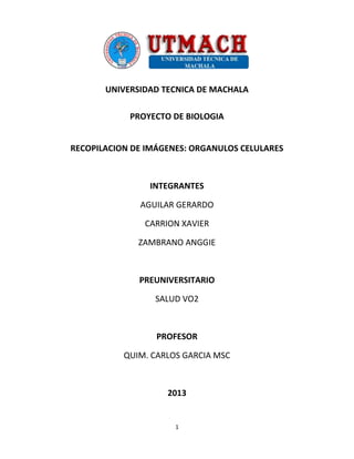 1
UNIVERSIDAD TECNICA DE MACHALA
PROYECTO DE BIOLOGIA
RECOPILACION DE IMÁGENES: ORGANULOS CELULARES
INTEGRANTES
AGUILAR GERARDO
CARRION XAVIER
ZAMBRANO ANGGIE
PREUNIVERSITARIO
SALUD VO2
PROFESOR
QUIM. CARLOS GARCIA MSC
2013
 
