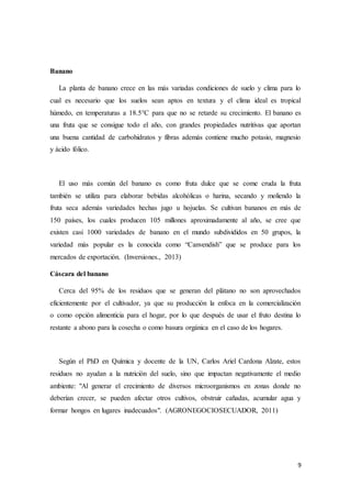 9
Banano
La planta de banano crece en las más variadas condiciones de suelo y clima para lo
cual es necesario que los suelos sean aptos en textura y el clima ideal es tropical
húmedo, en temperaturas a 18.5°C para que no se retarde su crecimiento. El banano es
una fruta que se consigue todo el año, con grandes propiedades nutritivas que aportan
una buena cantidad de carbohidratos y fibras además contiene mucho potasio, magnesio
y ácido fólico.
El uso más común del banano es como fruta dulce que se come cruda la fruta
también se utiliza para elaborar bebidas alcohólicas o harina, secando y moliendo la
fruta seca además variedades hechas jugo u hojuelas. Se cultivan bananos en más de
150 países, los cuales producen 105 millones aproximadamente al año, se cree que
existen casi 1000 variedades de banano en el mundo subdivididos en 50 grupos, la
variedad más popular es la conocida como “Canvendish” que se produce para los
mercados de exportación. (Inversiones., 2013)
Cáscara del banano
Cerca del 95% de los residuos que se generan del plátano no son aprovechados
eficientemente por el cultivador, ya que su producción la enfoca en la comercialización
o como opción alimenticia para el hogar, por lo que después de usar el fruto destina lo
restante a abono para la cosecha o como basura orgánica en el caso de los hogares.
Según el PhD en Química y docente de la UN, Carlos Ariel Cardona Alzate, estos
residuos no ayudan a la nutrición del suelo, sino que impactan negativamente el medio
ambiente: "Al generar el crecimiento de diversos microorganismos en zonas donde no
deberían crecer, se pueden afectar otros cultivos, obstruir cañadas, acumular agua y
formar hongos en lugares inadecuados". (AGRONEGOCIOSECUADOR, 2011)
 