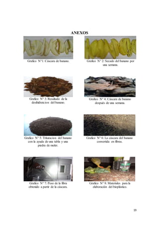 19
ANEXOS
Grafico N°1: Cáscara de banano. Grafico N° 2: Secado del banano por
una semana.
Grafico N° 3: Resultado de la
desihidratcion del banano.
Grafico N° 4: Cáscara de banano
después de una semana.
Grafico N° 5: Trituracion del banano
con la ayuda de una tabla y una
piedra de moler.
Grafico N° 6: La cáscara del banano
convertida en fibras.
Grafico N° 7: Peso de la fibra
obtenido a partir de la cáscara.
Grafico N° 8: Materiales para la
elaboración del bioplástico.
 