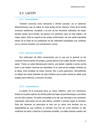 CORDON BLEUPERU
9
5.2. LACCPI
5.2.1. Generalidades
También conocida como arracacha o chirivía peruana, es un tubérculo
latinoamericano que se cultiva en otras partes de los trópicos. Viene de la familia
arracacia xanthorriza esculenta y es uno de los miembros cultivados de mayor
tamaño dentro de la familia. Se parece a la zanahoria pero es más pálida y de
mayor sabor. Esta se originó en los andes conformando así una parte importante
dentro de la dieta de los pobladores de las diferentes localidades que contaban
con su versión silvestre a la cual llamaron Laccpi.
5.2.2. Usos pre coloniales
Son tubérculos de difícil conservación por lo que por lo general se los
consume frescos dentro de potajes y guisos típicos a los cuales aportan muchísimo
sabor. Tienen un sabor delicado pero notorio, una textura crujiente si se los cocina
poco o una textura cremosa por naturaleza en el caso de los potajes, también se
la utiliza como hortaliza de mesa, hervida, frita o como guarnición. Normalmente
se utilizan las raíces laterales de esta mientras que la parte central se utiliza para
potajes para enfermos y menores de edad.
5.2.3. Características
La planta de la arracacha tiene un tronco cilíndrico corto con numerosos
brotes en la parte superior de donde parten las hojas de peciolos largos y sus flores
son de color púrpura. Su parte comestible es la raíz que asemeja a una zanahoria
engrosada, ésta puede ser de color blanco, amarillo o morado según la variedad.
Esta raíz tuberosa es apreciada no solo por su sabor sino también por su
digestibilidad ya que contiene un almidón muy fino así como también un alto
contenido de calcio y vitamina A (variedad amarilla). Los tallos jóvenes pueden ser
 