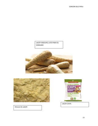 CORDON BLEUPERU
13
LACCPI MADURO, LISTO PARA SU
CONSUMO
FECULA DE LACCPI
LACCPI CHIPS
 