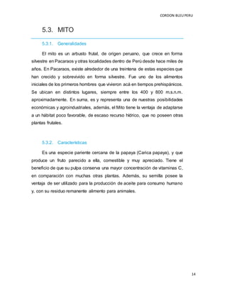 CORDON BLEUPERU
14
5.3. MITO
5.3.1. Generalidades
El mito es un arbusto frutal, de origen peruano, que crece en forma
silvestre en Pacaraos y otras localidades dentro de Perú desde hace miles de
años. En Pacaraos, existe alrededor de una treintena de estas especies que
han crecido y sobrevivido en forma silvestre. Fue uno de los alimentos
iniciales de los primeros hombres que vivieron acá en tiempos prehispánicos.
Se ubican en distintos lugares, siempre entre los 400 y 800 m.s.n.m.
aproximadamente. En suma, es y representa una de nuestras posibilidades
económicas y agroindustriales, además, el Mito tiene la ventaja de adaptarse
a un hábitat poco favorable, de escaso recurso hídrico, que no poseen otras
plantas frutales.
5.3.2. Características
Es una especie pariente cercana de la papaya (Carica papaya), y que
produce un fruto parecido a ella, comestible y muy apreciado. Tiene el
beneficio de que su pulpa conserva una mayor concentración de vitaminas C,
en comparación con muchas otras plantas. Además, su semilla posee la
ventaja de ser utilizado para la producción de aceite para consumo humano
y, con su residuo remanente alimento para animales.
 