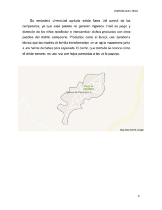 CORDON BLEUPERU
8
Su verdadera diversidad agrícola existe fuera del control de los
campesinos, ya que esas plantas no generen ingresos. Pero es juego y
diversión de los niños recolectar e intercambiar dichos productos con otros
pueblos del distrito campesino. Productos como el laccpi, una zanahoria
blanca que las madres de familia transformarían en un api o mazamorra junto
a una harina de habas para espesarla. El cacho, que también se conoce como
el chicle serrano, es una raíz con hojas parecidas a las de la papaya.
 