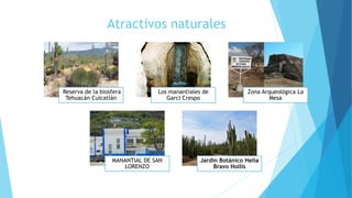 Reserva de la biosfera
Tehuacán Cuicatlán
Los manantiales de
Garci Crespo
Zona Arqueológica La
Mesa
MANANTIAL DE SAN
LORENZO
Jardín Botánico Helia
Bravo Hollis
Atractivos naturales
 