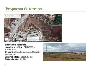 Propuesta de terreno.
Extensión 5 hectáreas.
Longitud y Latitud: 24.840036 –
107.360539
Dirección: Carretera a Imala, Culiacán
Rosales, Sin.
Superficie total: 58565.10 m2
Distancia total: 1.18 km
 